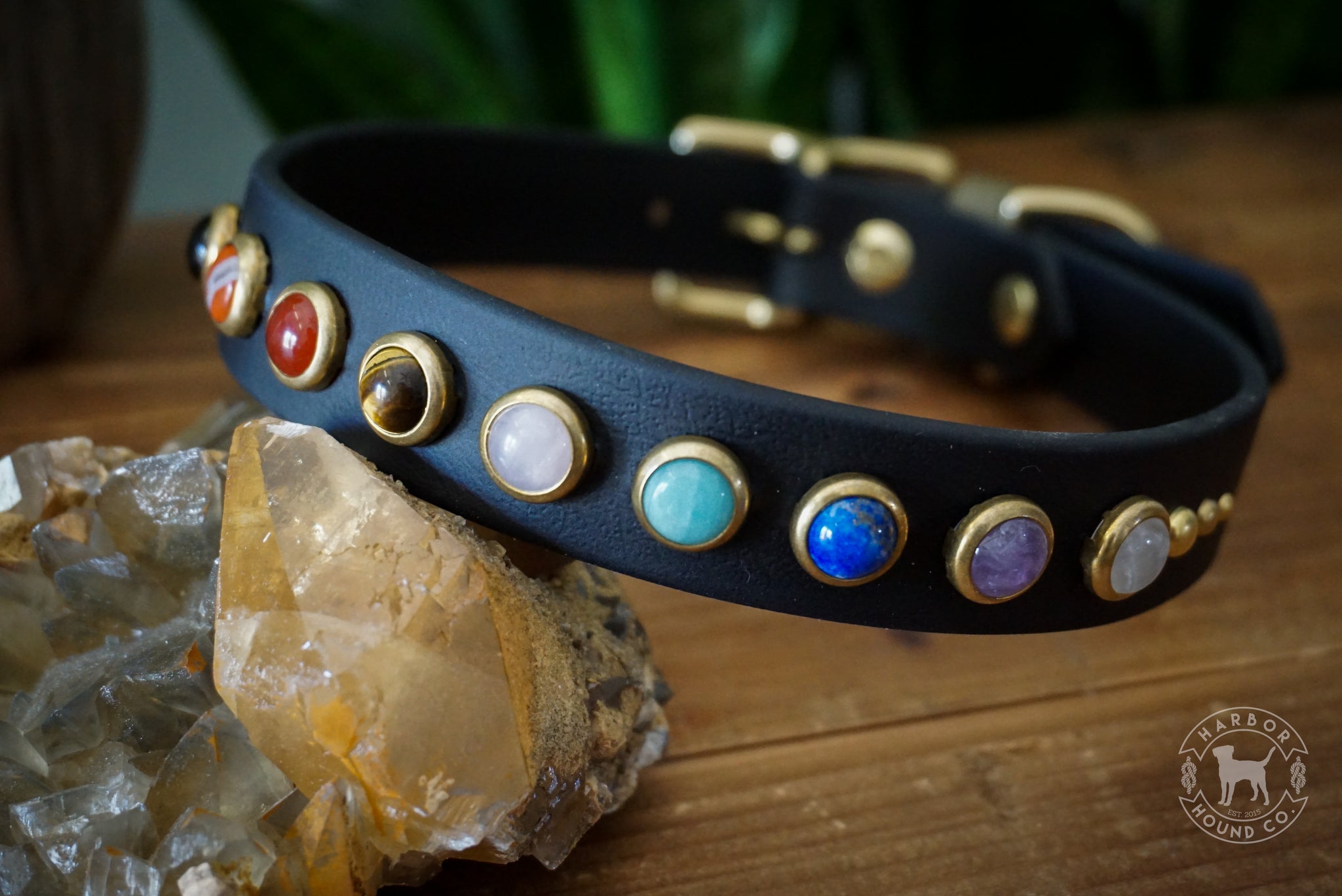 Detail Chakra Dog Collar Nomer 6