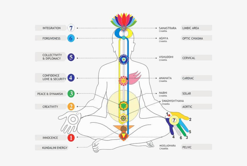 Detail Chakra Free Nomer 30