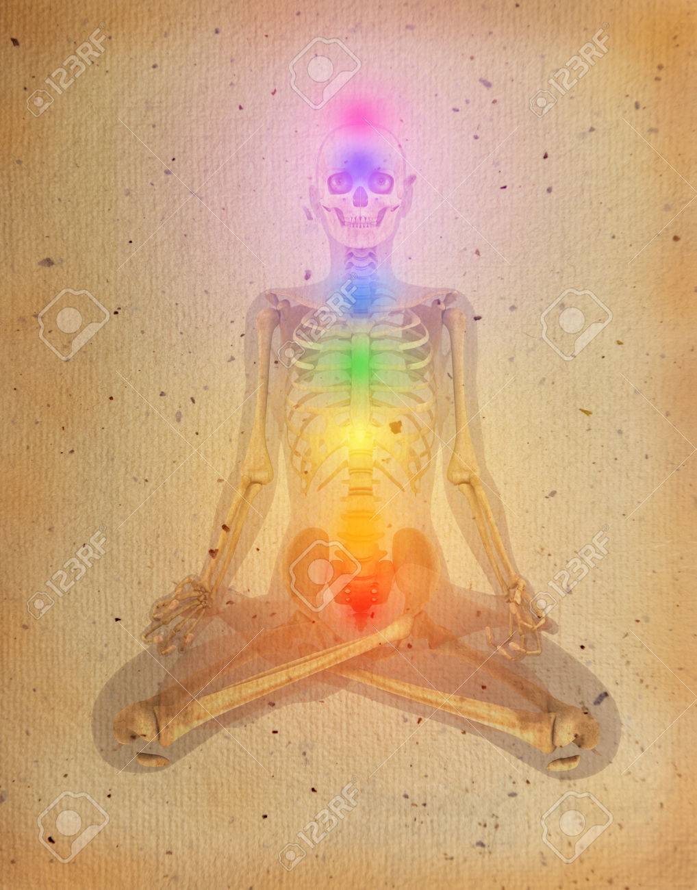 Detail Chakra Skeleton Nomer 2