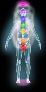 Detail Chakra Skeleton Nomer 14