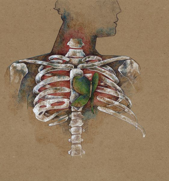 Detail Chakra Skeleton Nomer 45