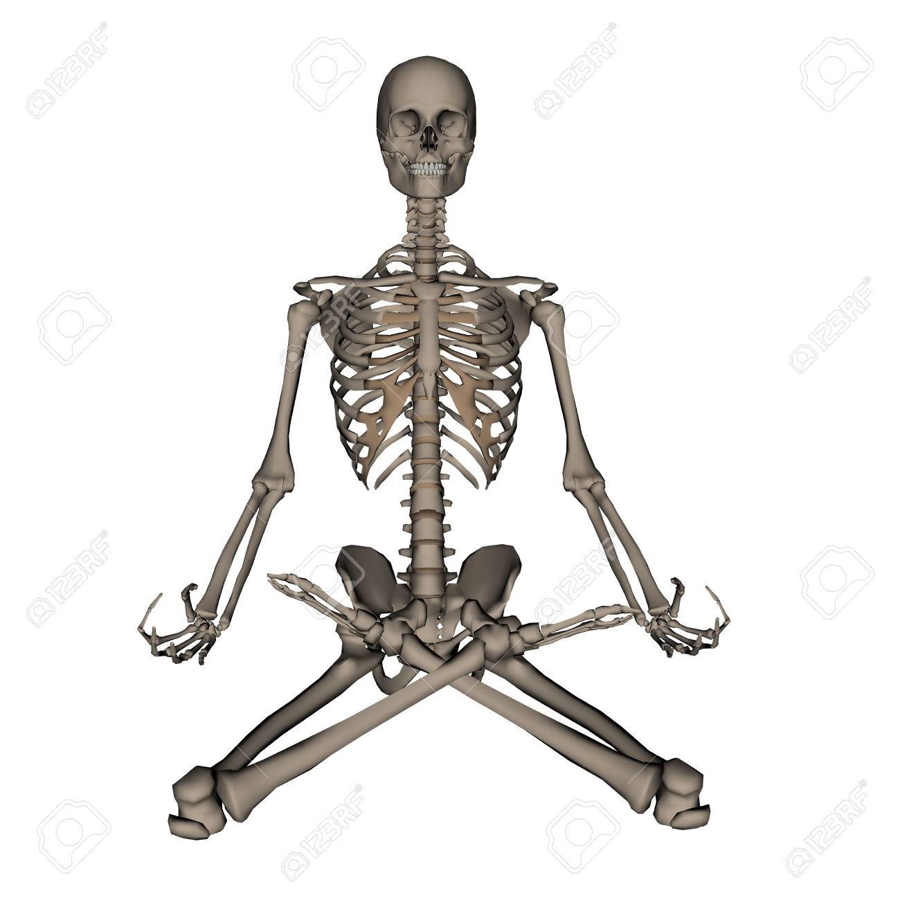Detail Chakra Skeleton Nomer 58