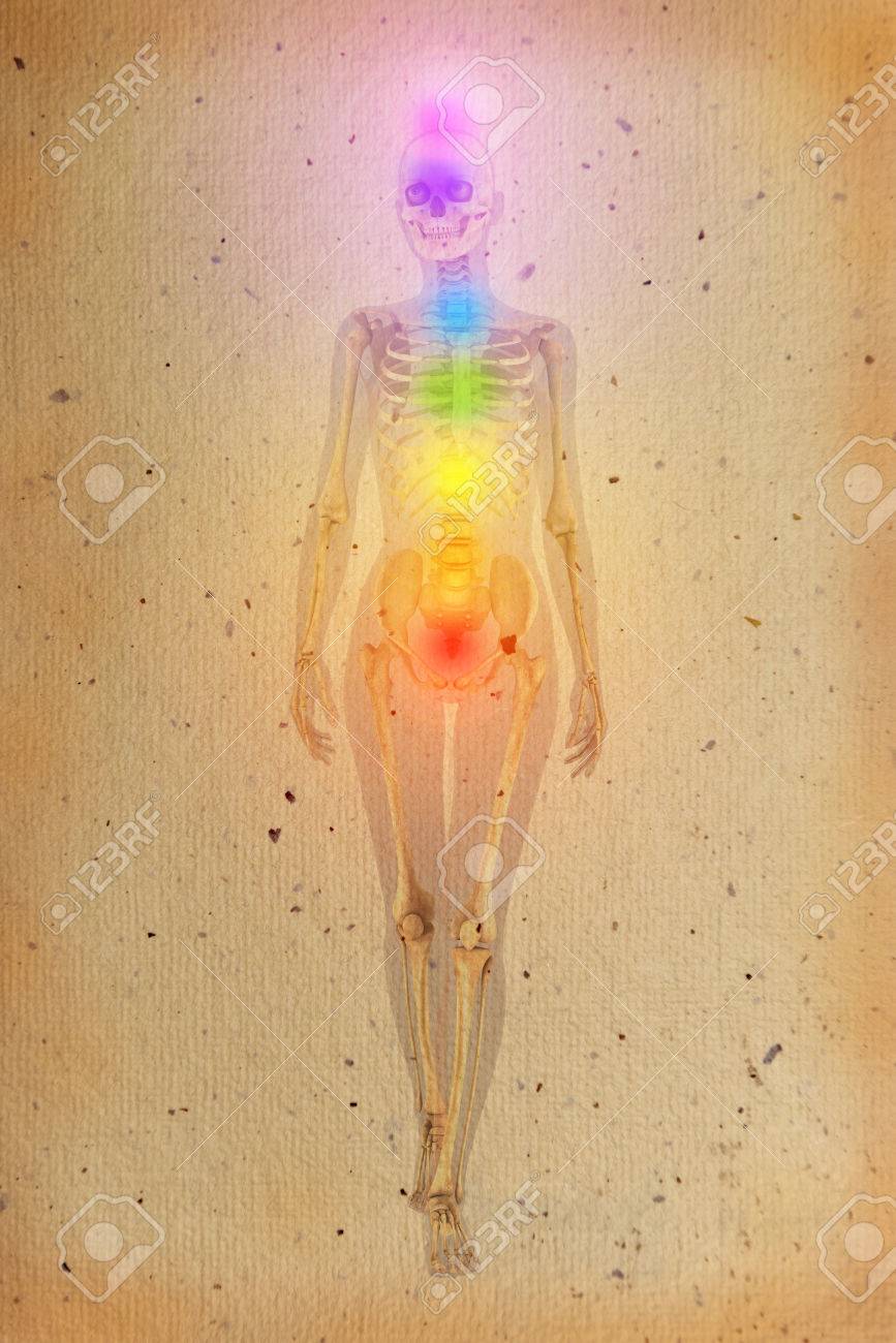 Detail Chakra Skeleton Nomer 7