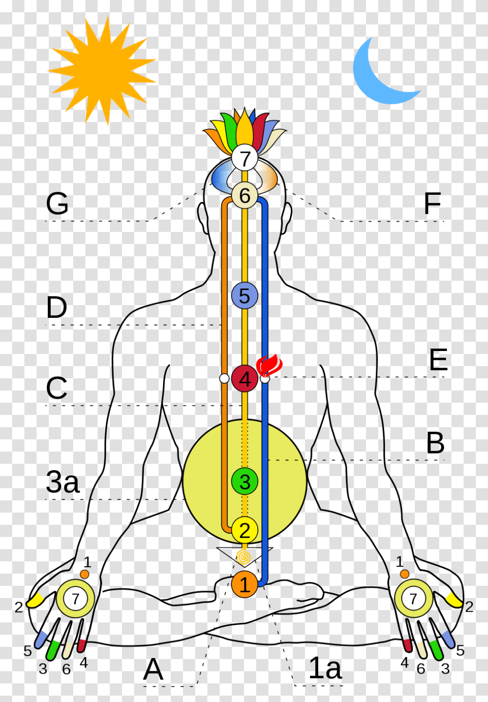 Detail Chakra Transparent Nomer 54