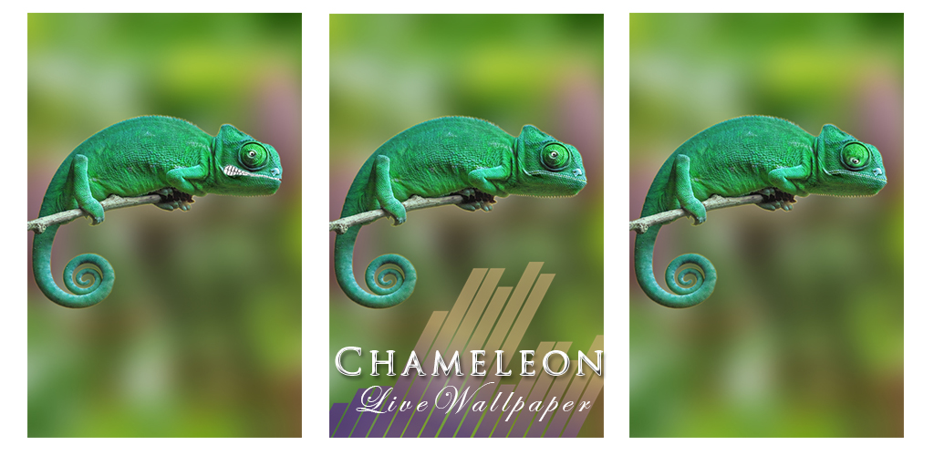 Detail Chameleon Live Wallpaper Nomer 16