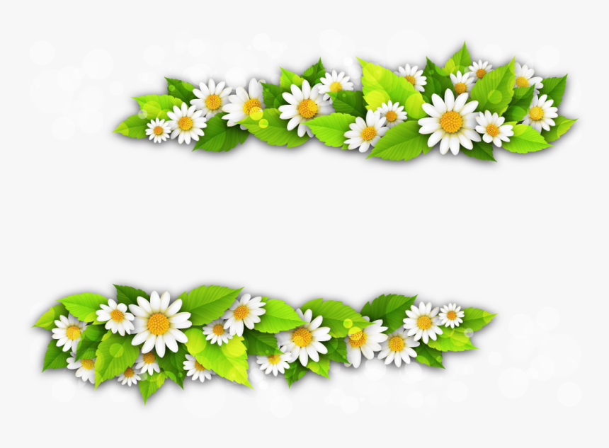Detail Chamomile Png Nomer 22