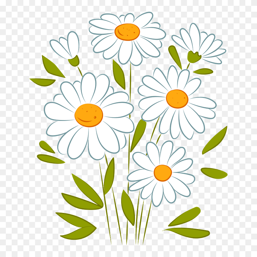 Detail Chamomile Png Nomer 32