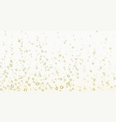 Detail Champagne Bubbles Png Nomer 16