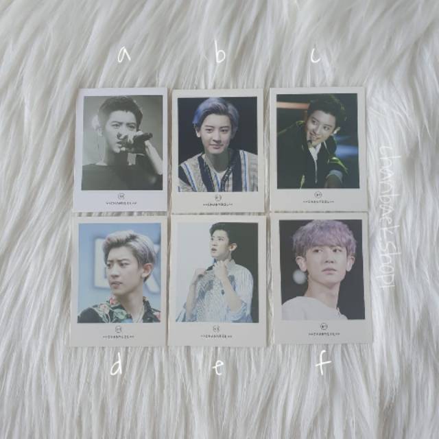 Detail Chanyeol Polaroid Nomer 41