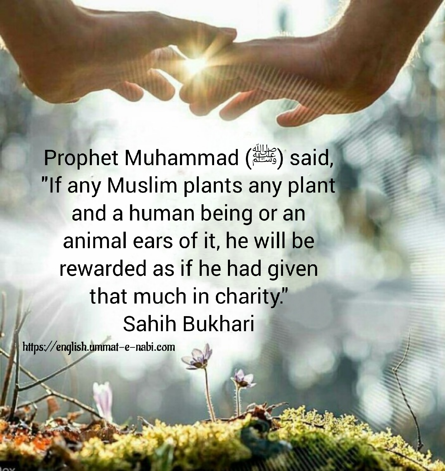 Detail Charity Quotes In English Nomer 41