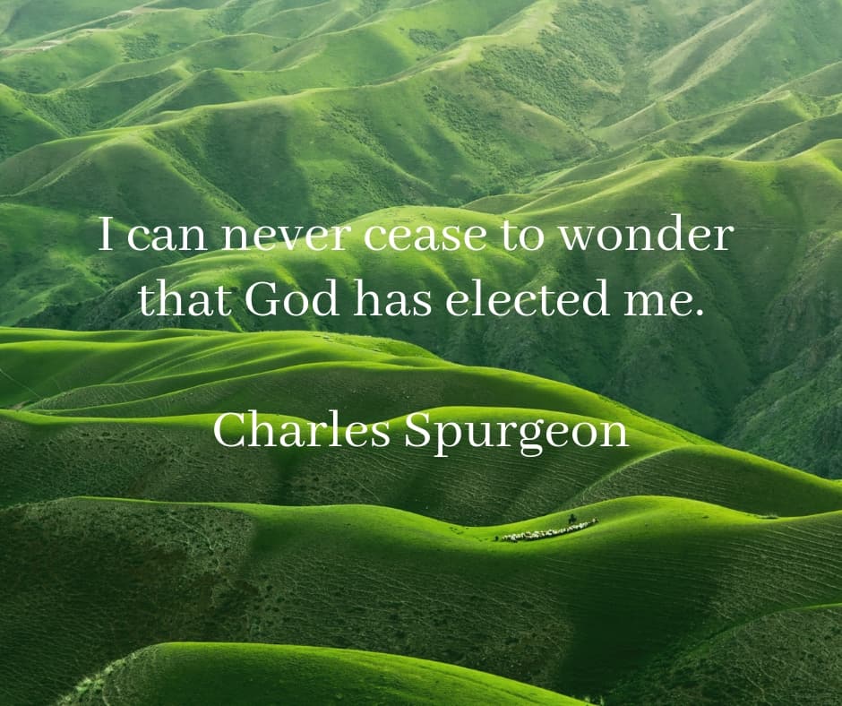 Detail Charles Spurgeon Quotes Nomer 8