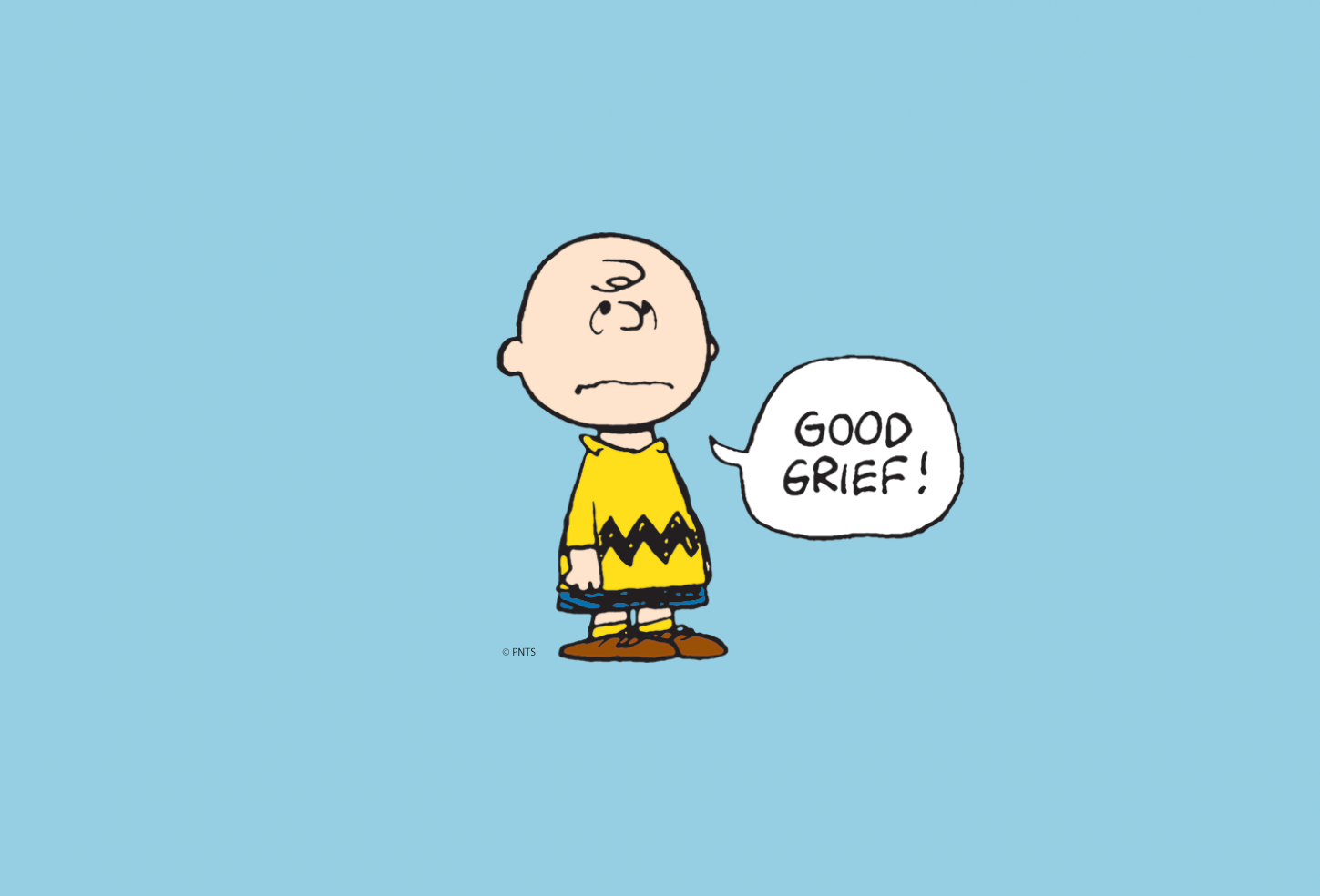 Detail Charlie Brown Cartoon Pictures Nomer 30