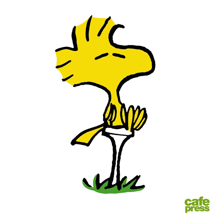 Detail Charlie Brown Characters Bird Nomer 17