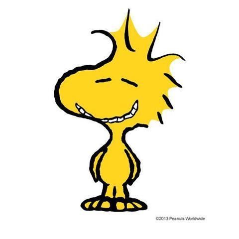 Detail Charlie Brown Characters Bird Nomer 3