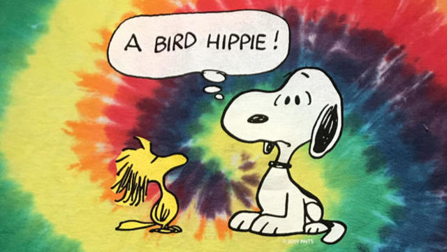 Detail Charlie Brown Characters Bird Nomer 25