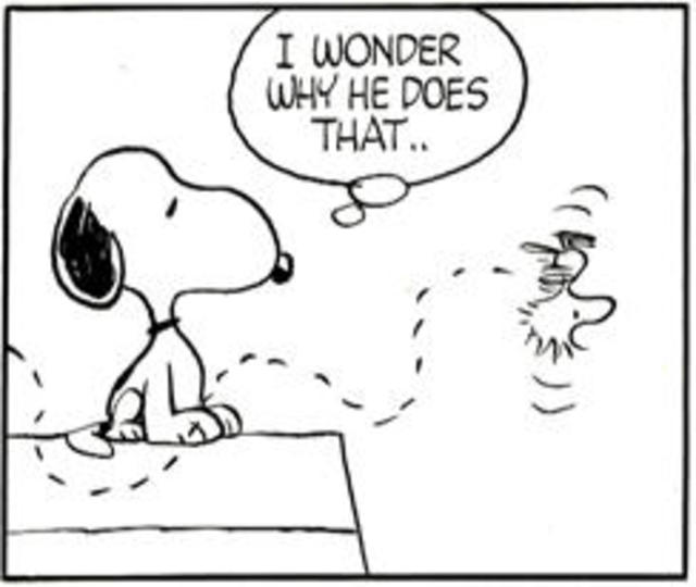 Detail Charlie Brown Characters Bird Nomer 52
