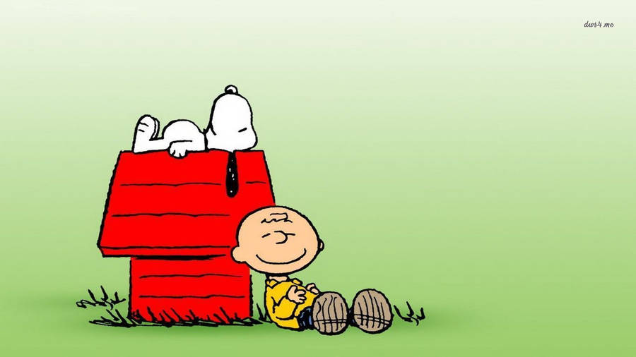 Detail Charlie Brown Images Free Nomer 33