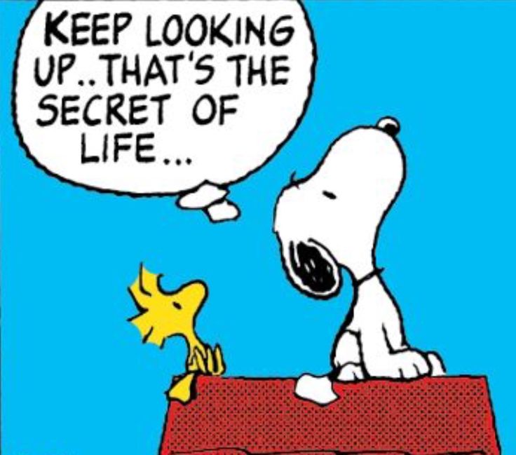 Detail Charlie Brown Quotes About Life Nomer 37