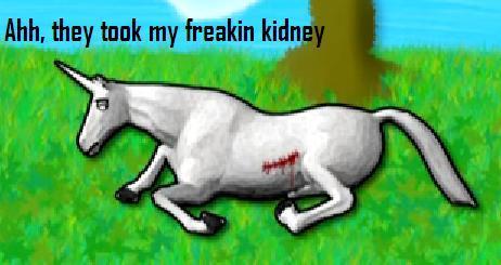 Charlie The Unicorn Kidney - KibrisPDR