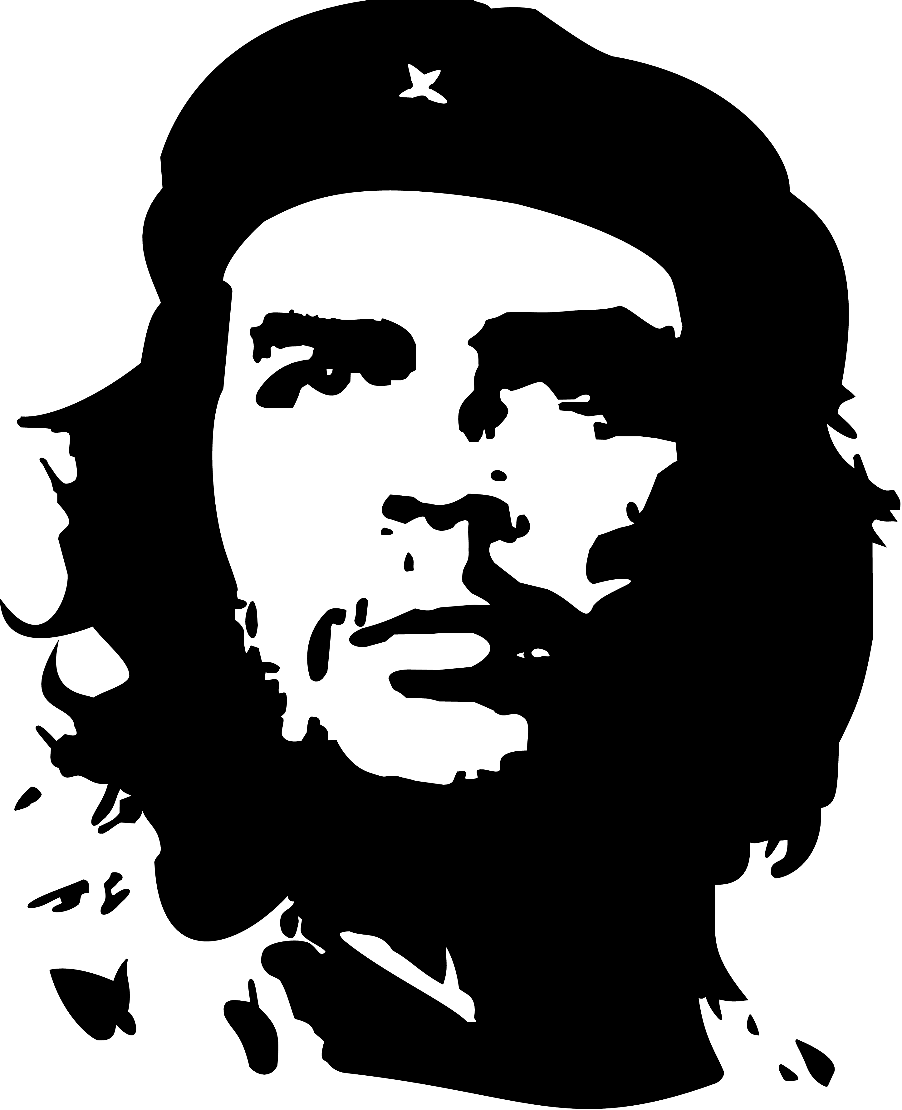 Detail Che Guevara Background Nomer 4