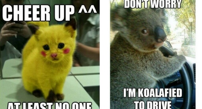 Detail Cheer Up Meme Nomer 6