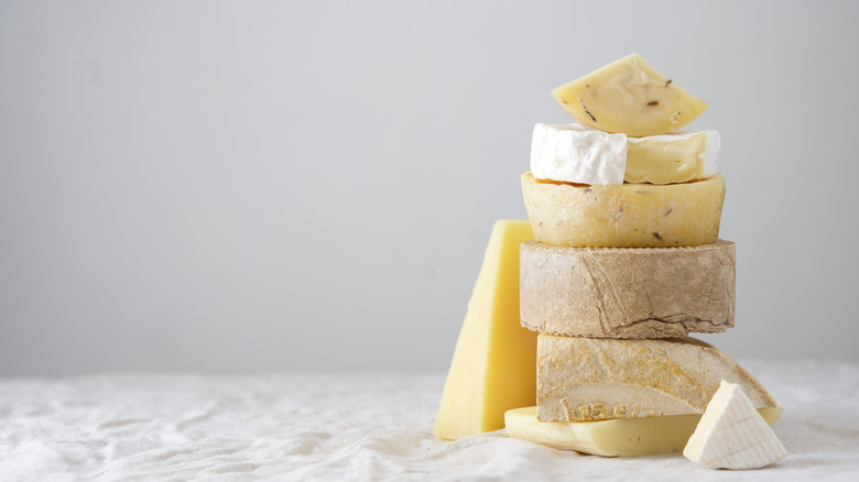Detail Cheese Image Nomer 51