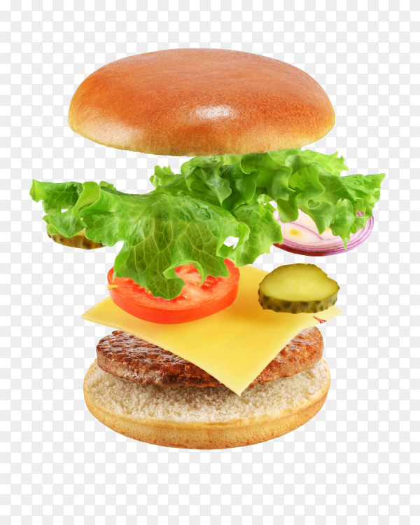 Detail Cheeseburger Transparent Background Nomer 51