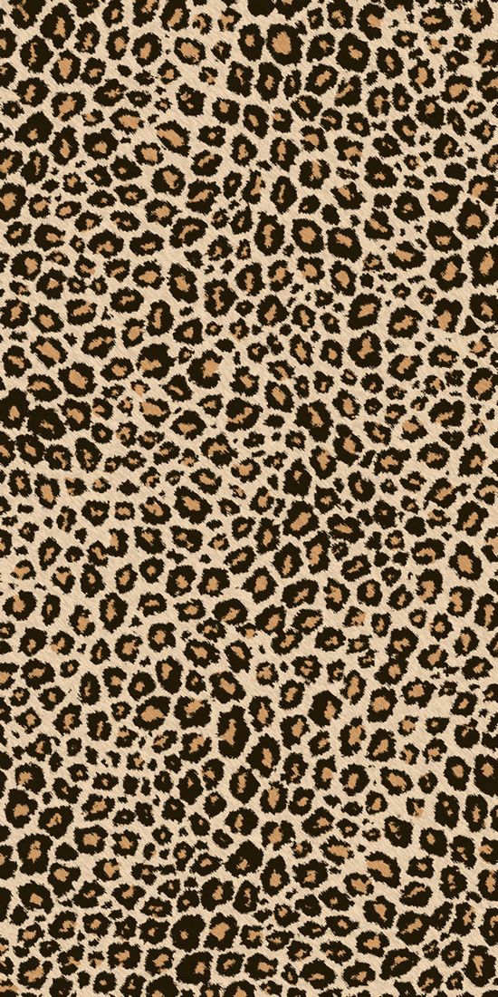 Detail Cheetah Background Images Nomer 46