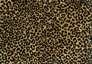 Detail Cheetah Backgrounds Nomer 36