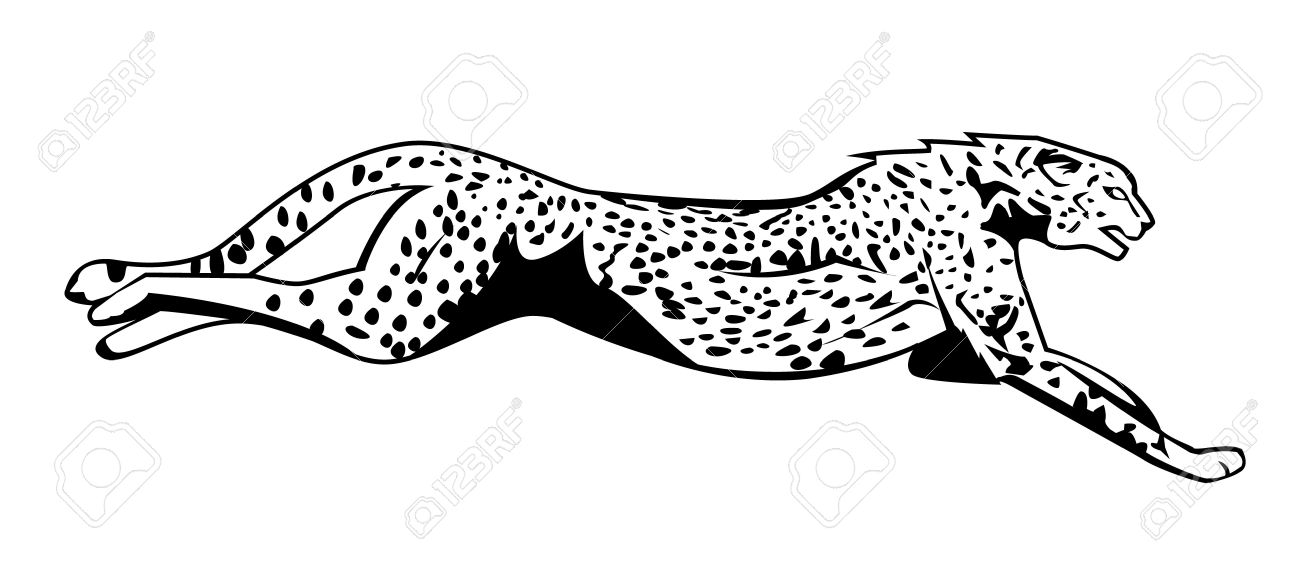 Detail Cheetah Clipart Black And White Nomer 12