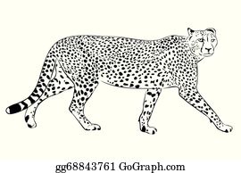 Detail Cheetah Clipart Black And White Nomer 13