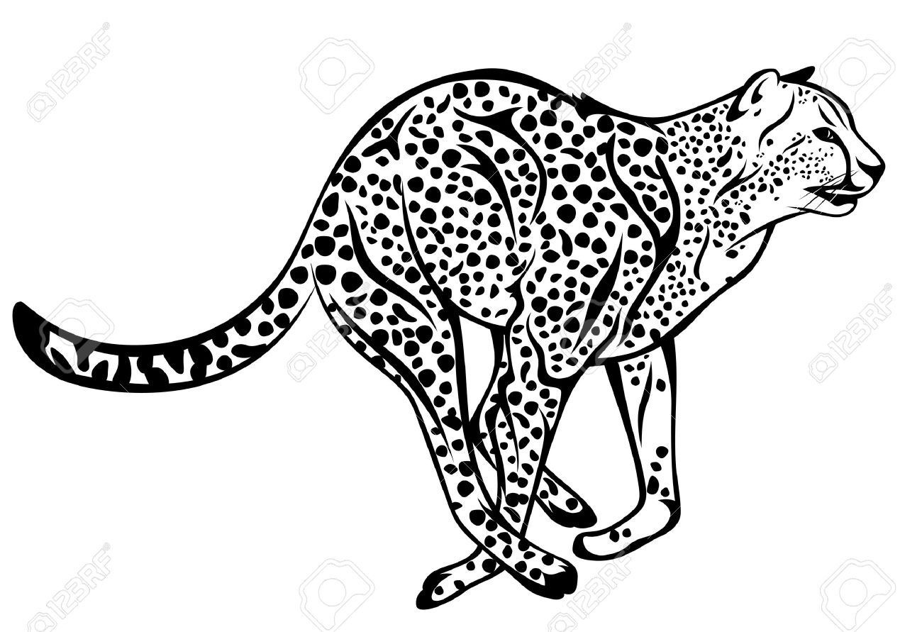 Detail Cheetah Clipart Black And White Nomer 14