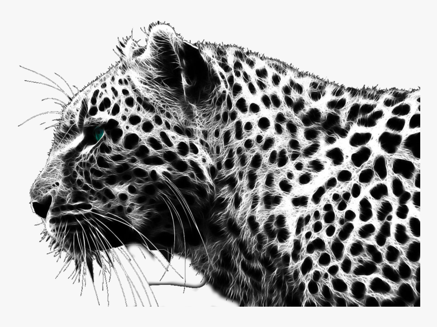 Detail Cheetah Clipart Black And White Nomer 52