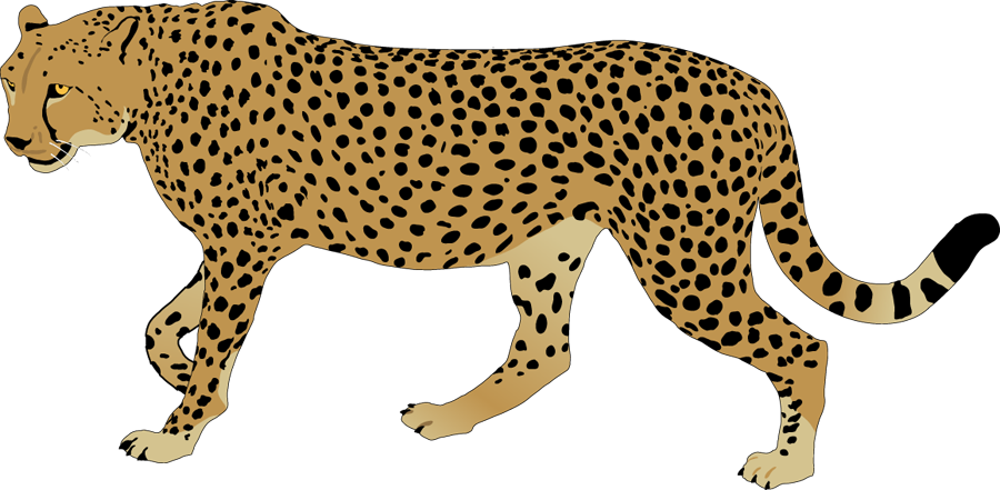 Cheetah Clipart Free - KibrisPDR