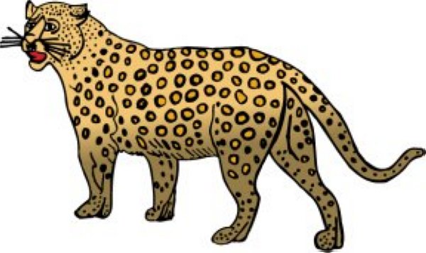 Detail Cheetah Clipart Free Nomer 39