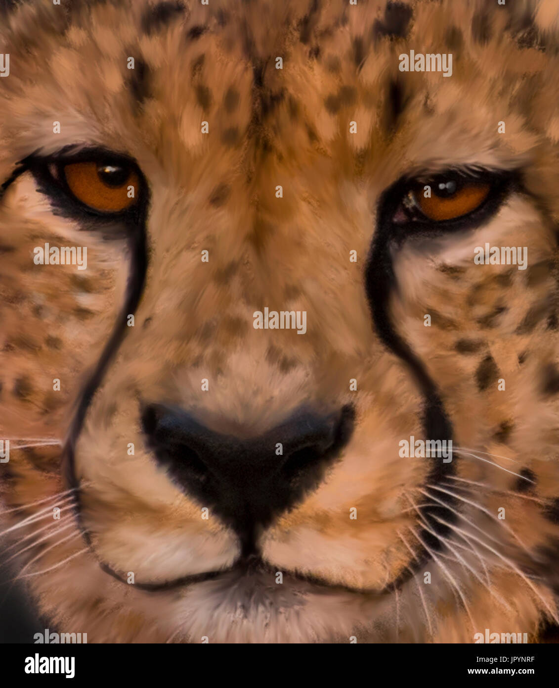 Detail Cheetah Face Paint Images Nomer 51