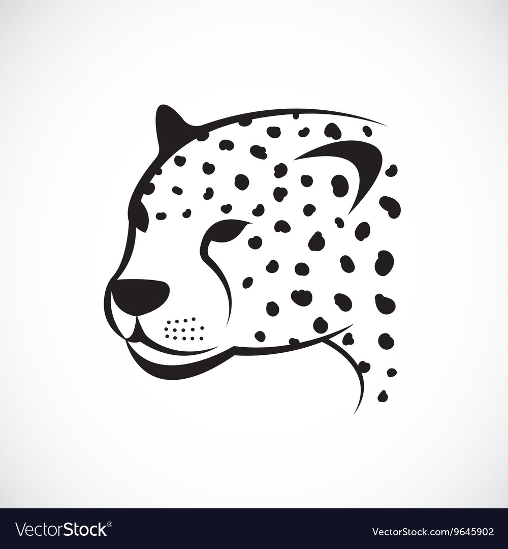 Detail Cheetah Face Vector Nomer 3