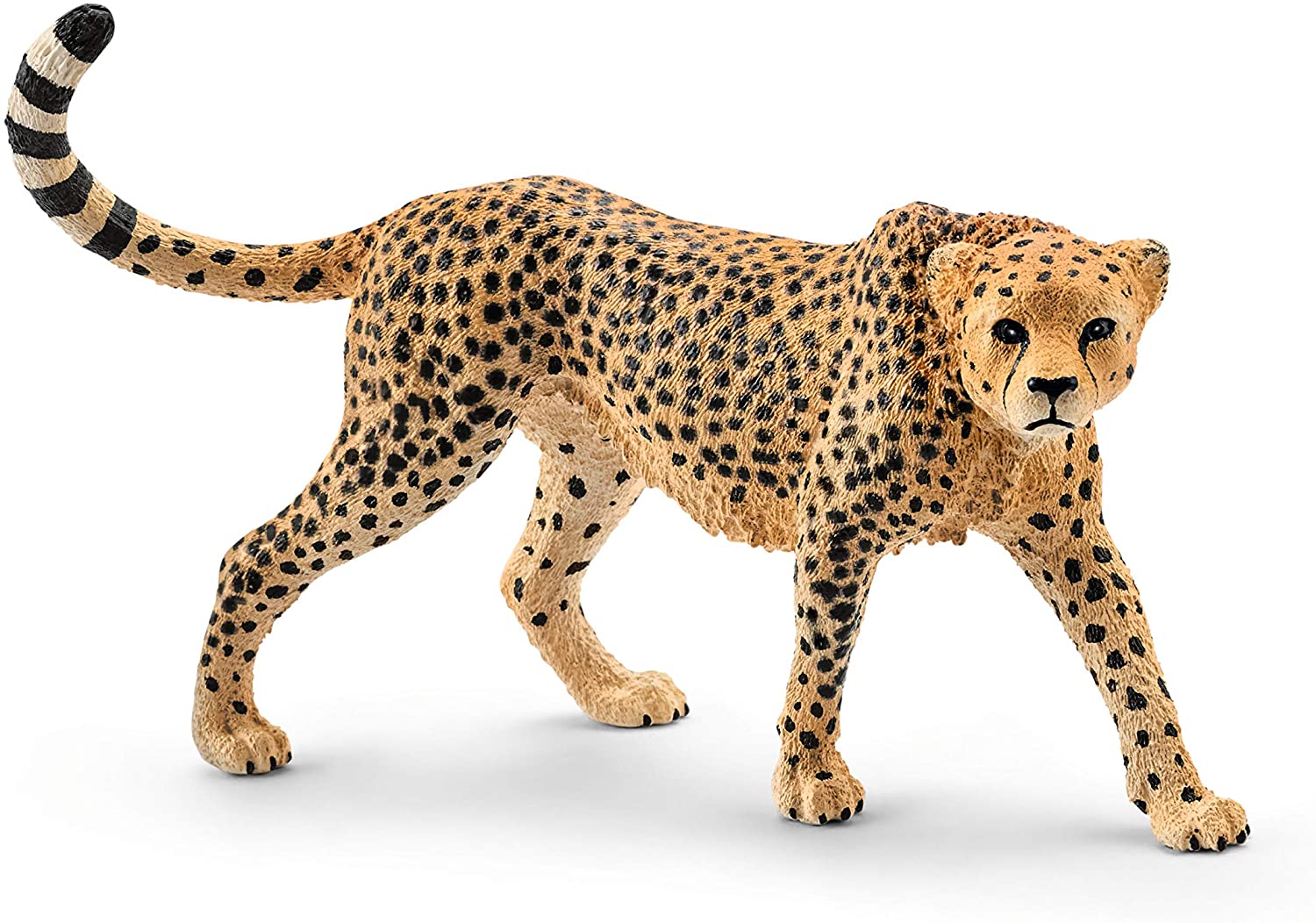 Detail Cheetah Images Animal Nomer 28