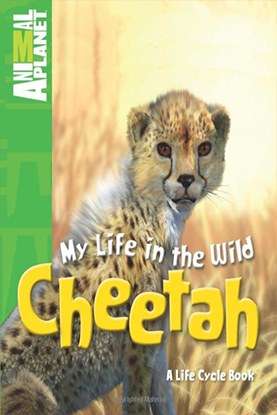 Detail Cheetah Life Cycle Pictures Nomer 54