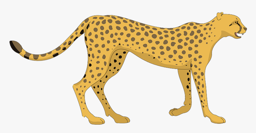 Detail Cheetah No Background Nomer 16