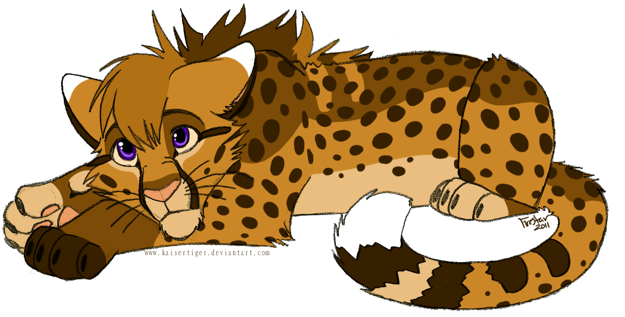 Detail Cheetah No Background Nomer 18
