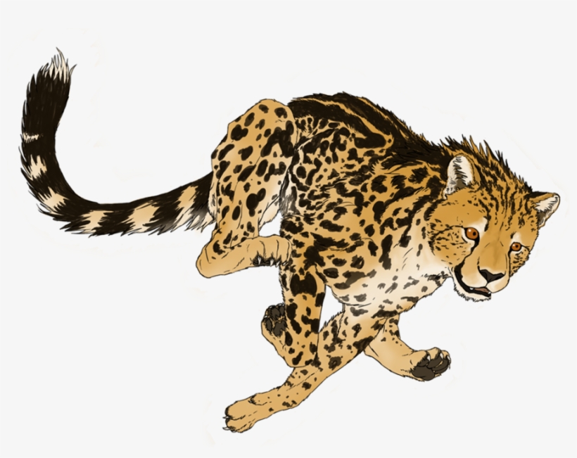 Detail Cheetah No Background Nomer 26