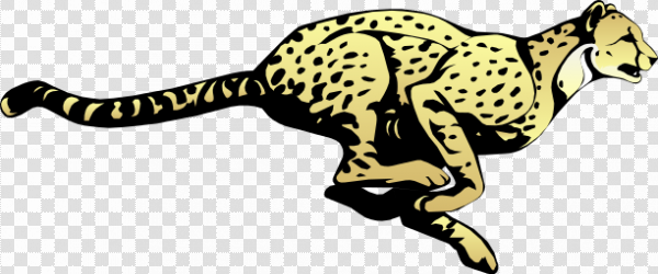 Detail Cheetah No Background Nomer 33
