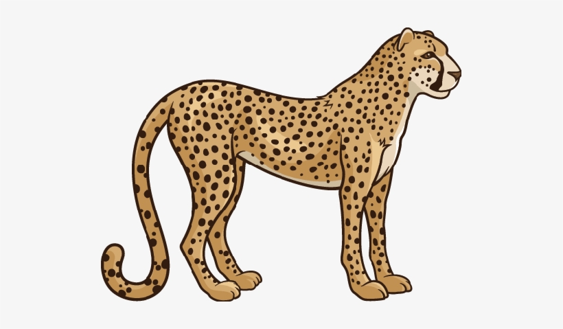 Detail Cheetah No Background Nomer 46