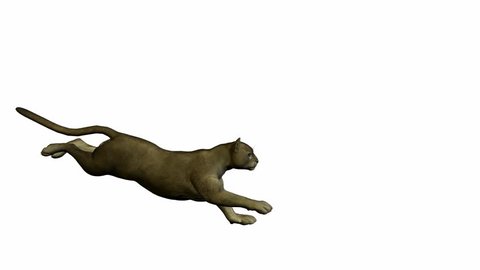 Detail Cheetah No Background Nomer 50