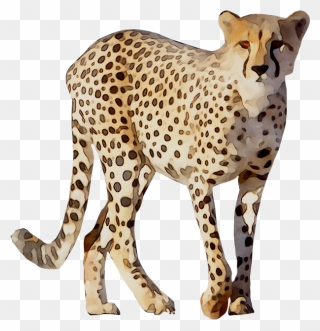 Detail Cheetah Png Nomer 35