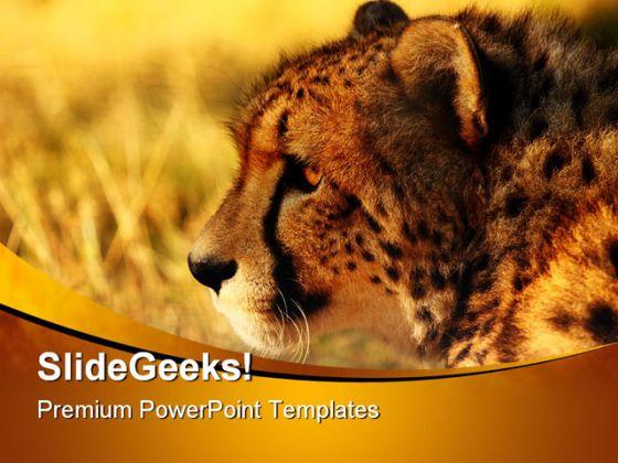 Detail Cheetah Powerpoint Nomer 2