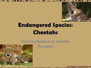 Detail Cheetah Powerpoint Nomer 23