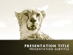 Detail Cheetah Powerpoint Nomer 28