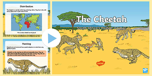 Detail Cheetah Powerpoint Nomer 4